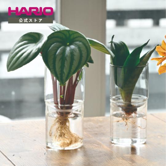 HARIO 公式 花瓶 ガラスの花器 ガラスのある生活 ハリオ 水耕栽培 耐熱