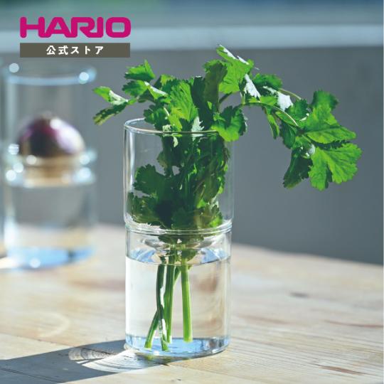 HARIO 公式 花瓶 ガラスの花器 ガラスのある生活 ハリオ 水耕栽培 耐熱