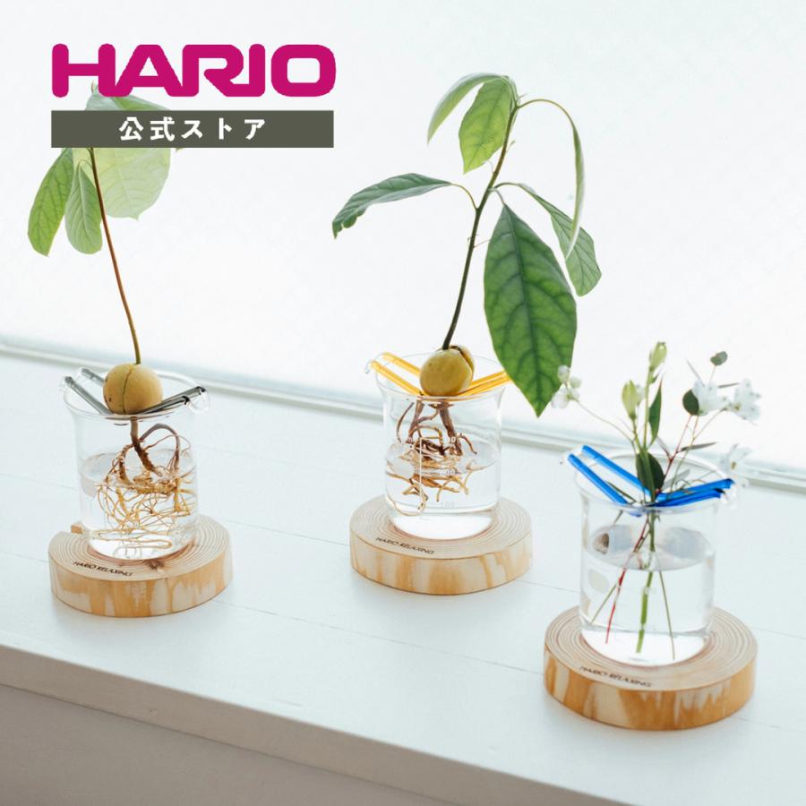 水辺のハンモック HARIO RELAXING 水耕栽培 ガラス製花瓶 ビーカー