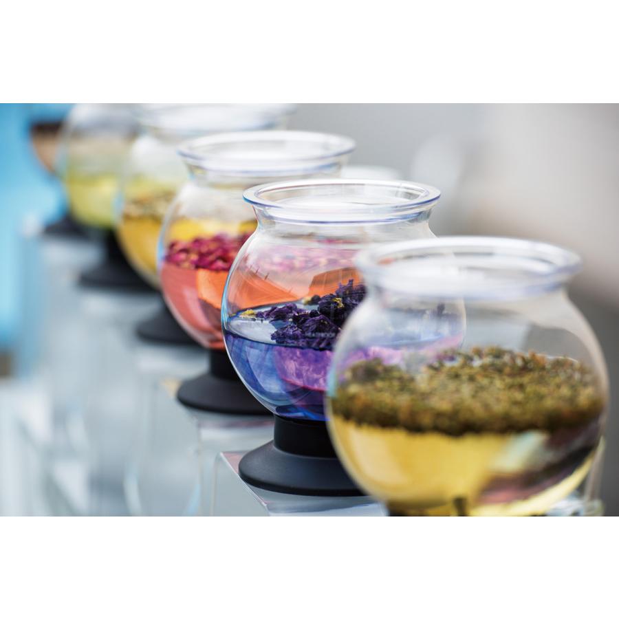 ハリオ ティードリッパーラルゴスタンドセット TDR-8006T スイッチで