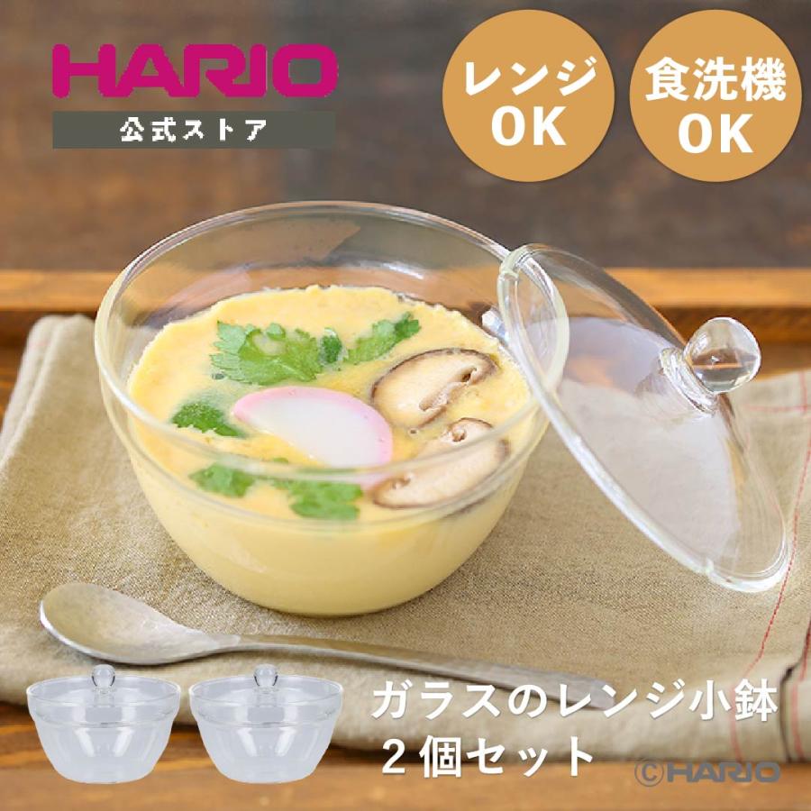 HARIO（ハリオ） ガラスのレンジ小鉢2個セット 日本製 耐熱ガラス フタ