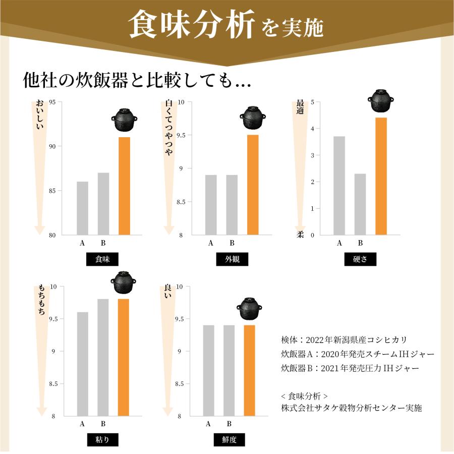 ハリオ ゼブラン ライスオーブン Zebrang ご飯釜 1〜2合用 ハリオ ゼブラン ライスオーブン Zebrang ご飯釜 1〜2合用