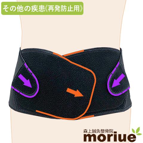 オリエンタル 保険 怪物 腰椎 椎間板 症 コルセット Legionpost328 Org