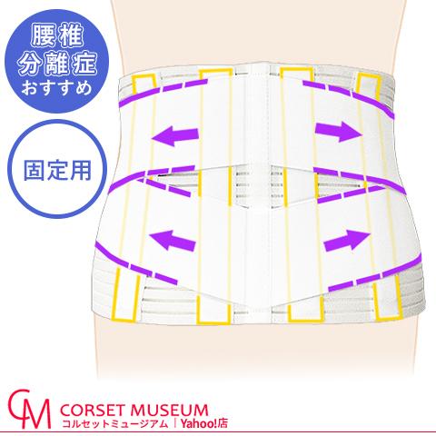 全日本送料無料 腰痛ベルト 腰 ベルト コルセット 腰椎分離症 固定 ハードデラックス メッシュ 上質風合い Sportunia Com