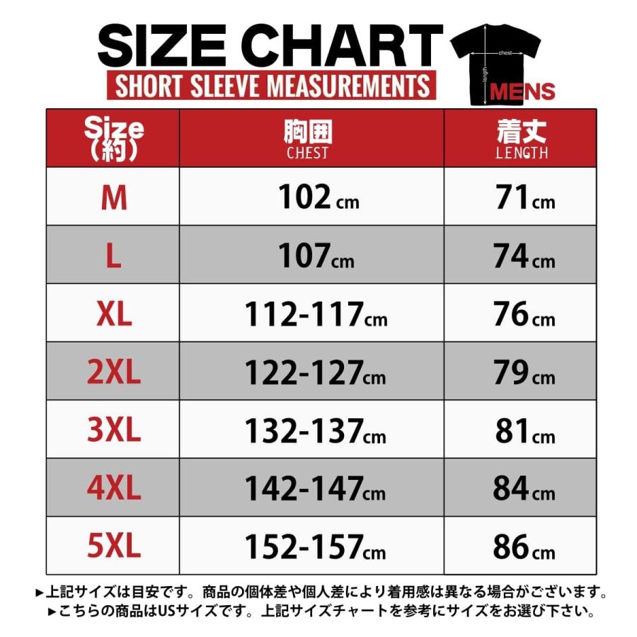 米国直輸入! ホットレザーアサシンライダーメンズTシャツ! 半袖シャツ