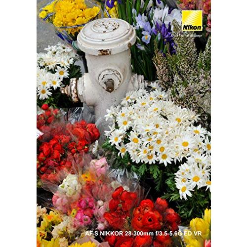 Nikon 高倍率ズームレンズ AF-S NIKKOR 28-300mm f/3.5-5.6G ED VR フルサイズ対応 