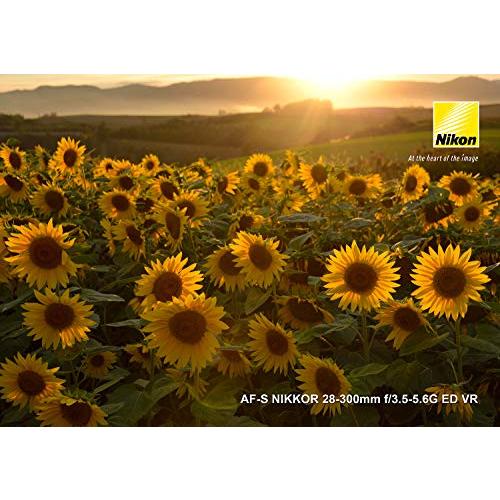 Nikon 高倍率ズームレンズ AF-S NIKKOR 28-300mm f/3.5-5.6G ED VR フルサイズ対応 