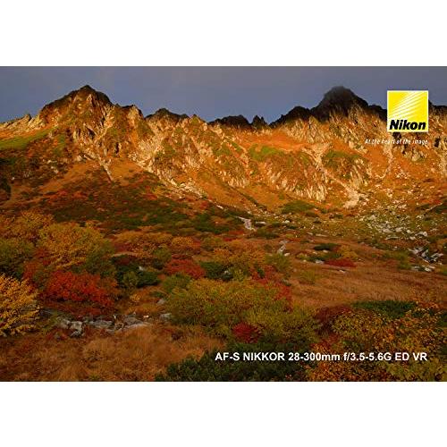 Nikon 高倍率ズームレンズ AF-S NIKKOR 28-300mm f/3.5-5.6G ED VR フルサイズ対応 