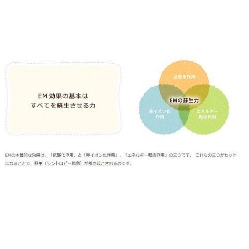 EM生活 EM・X GOLD 500ml×4本 500ml×4本 4本