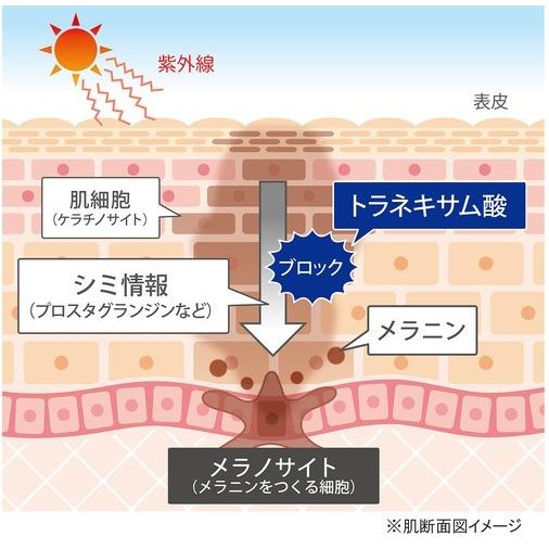 日本製】医薬部外品 CBS EST LABO（エステラボ） 薬用エッセンス