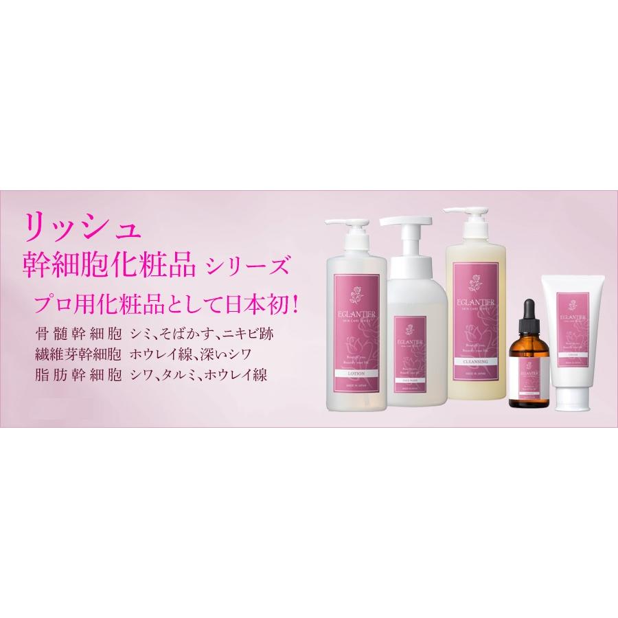 正規品】EGLANTIER エグランティエ リッシュウォッシュ 500ml