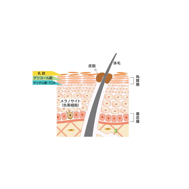 WOVE Style（ウォブスタイル） ピーリングジェル 300ml【業務用