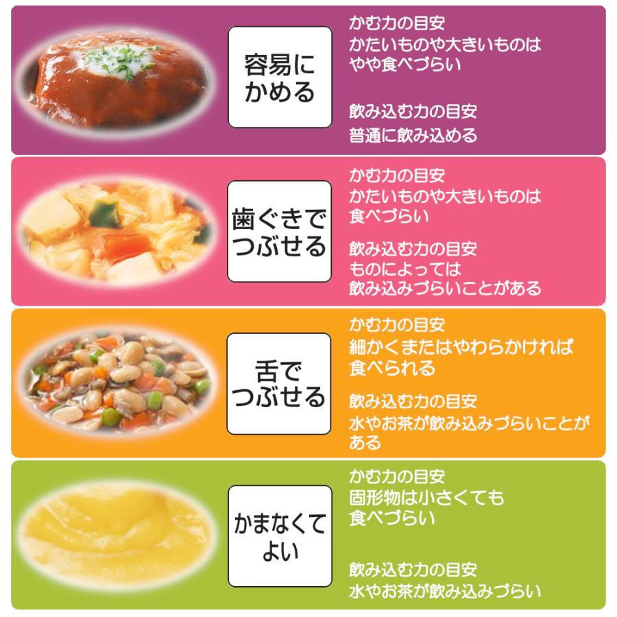 介護食 レトルト 美味しい おいしくミキサー かまなくてよい ホリカフーズ 12種 バラエティセット｜hart｜07