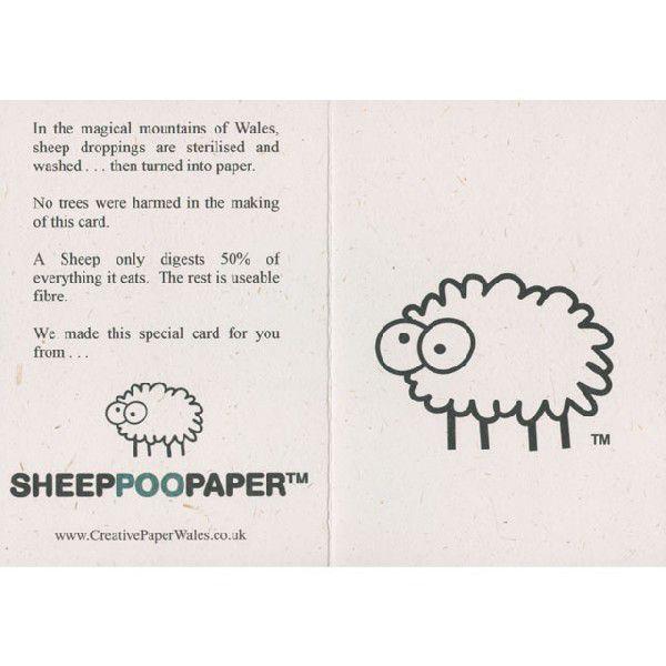 ひつじのフンで再生紙 【Sheep Poo Paper】 グリーティングカード （オリジナル） Original Sheepy Card ★メール便OK★｜hartfield｜02