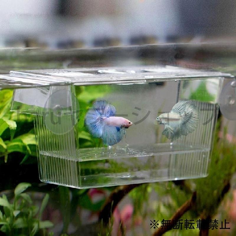 プレゼントを選ぼう 水槽 水槽 ベタ 飼育 ケース 初心者 生体 魚 水槽 ベタ 飼育 ケース 初心者 生体 魚 孵化 グッピー 隔離 分離 透明アクリル Www Threeriversofs Com