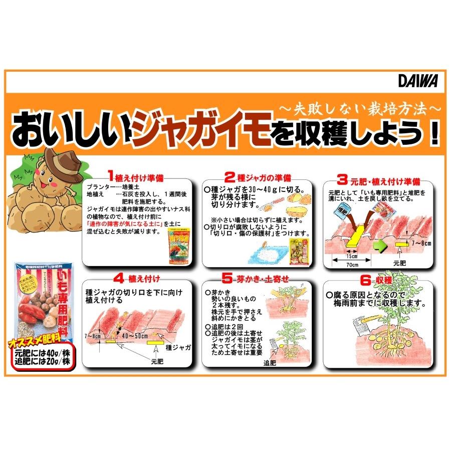 大和様専用20キロ 【公式通販】