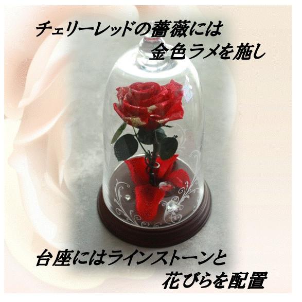 薔薇ガラスドーム 美女と野獣イメージ プリザーブドフラワーアレンジ 赤薔薇 プロポーズ 誕生日 新築祝 母の日 還暦長寿祝 結婚記念日 退職 卒業 P 1 Flowerdesign陽haru 通販 Yahoo ショッピング