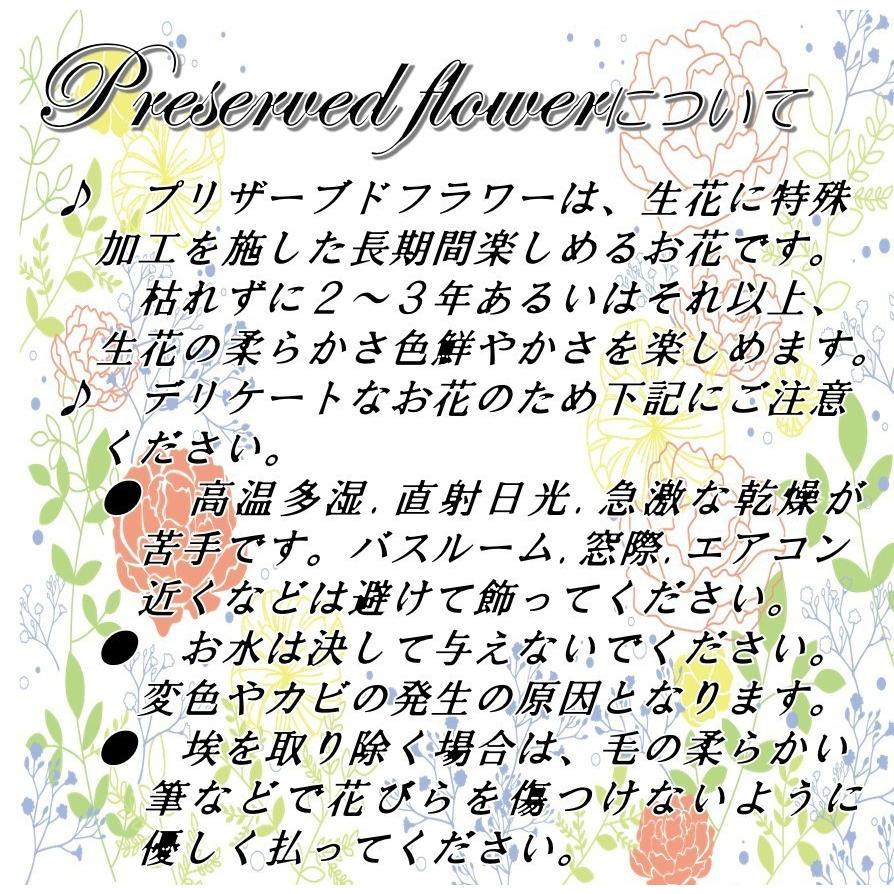 母の日  ギフト 花  プリザーブドフラワー 薔薇 ローズ アレンジ クリアケース入り プレゼント