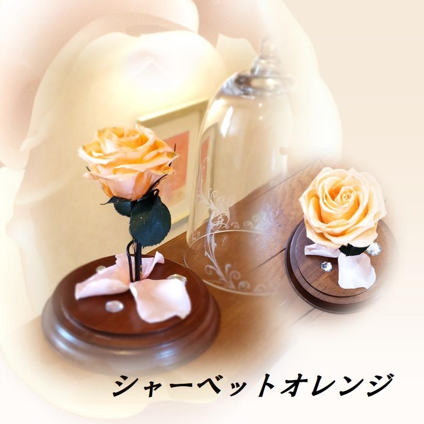 薔薇ガラスドーム 美女と野獣イメージ プリザーブドフラワーアレンジ