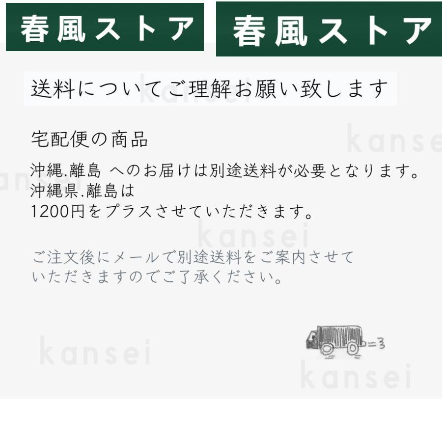 choo choo charles ぬいぐるみ おもちゃ グッズ ホラーゲーム 汽車 ホラゲ 怖い ホラーのトーマス 汽車と蜘蛛のバケモノ 人食い機関車 チューチューチャールズ｜haru-kazestore｜12