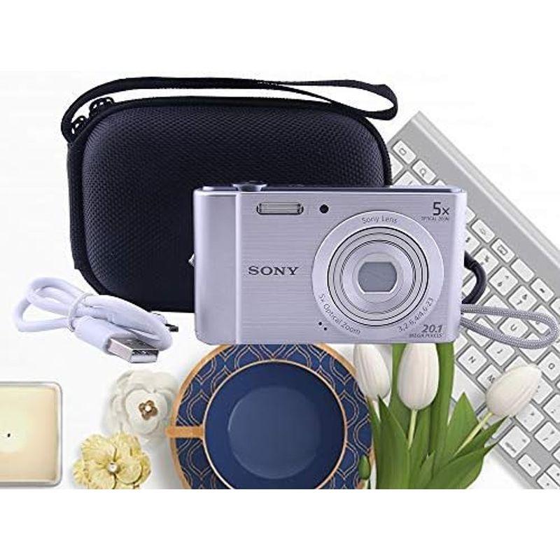 ソニー SONY デジタルカメラ Cyber-shot DSC-W830/WX350/WX500 専用保護収納ケース -waiyu JP (｜haru-online｜02