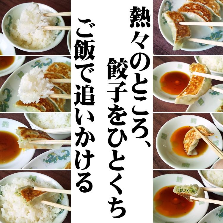 餃子 冷凍餃子 国産 冷凍 5パック ぎょうざ ギョーザ おすすめ 美味しい 夕食 おかず クチコミ 人気 |  | 19