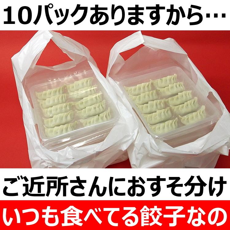 餃子 ギョーザ 10パック 取り寄せ 手づくり 冷凍 点心 中華｜haru-pin｜09