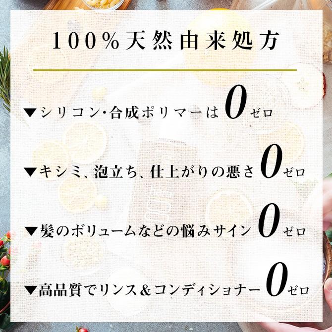 シャンプー　haru　100％天然由来の男性用シャンプー「メンズスカルプ・プロ 3本セット(25％OFF) 」｜haru-shop｜02
