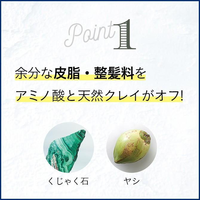シャンプー　haru　100％天然由来の男性用シャンプー「メンズスカルプ・プロ 3本セット(25％OFF) 」｜haru-shop｜03