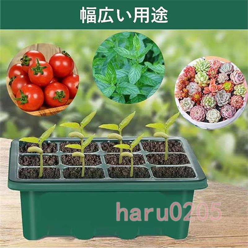 育苗ポット 3個セット 育苗トレイ 育苗箱 12穴 高くする透明