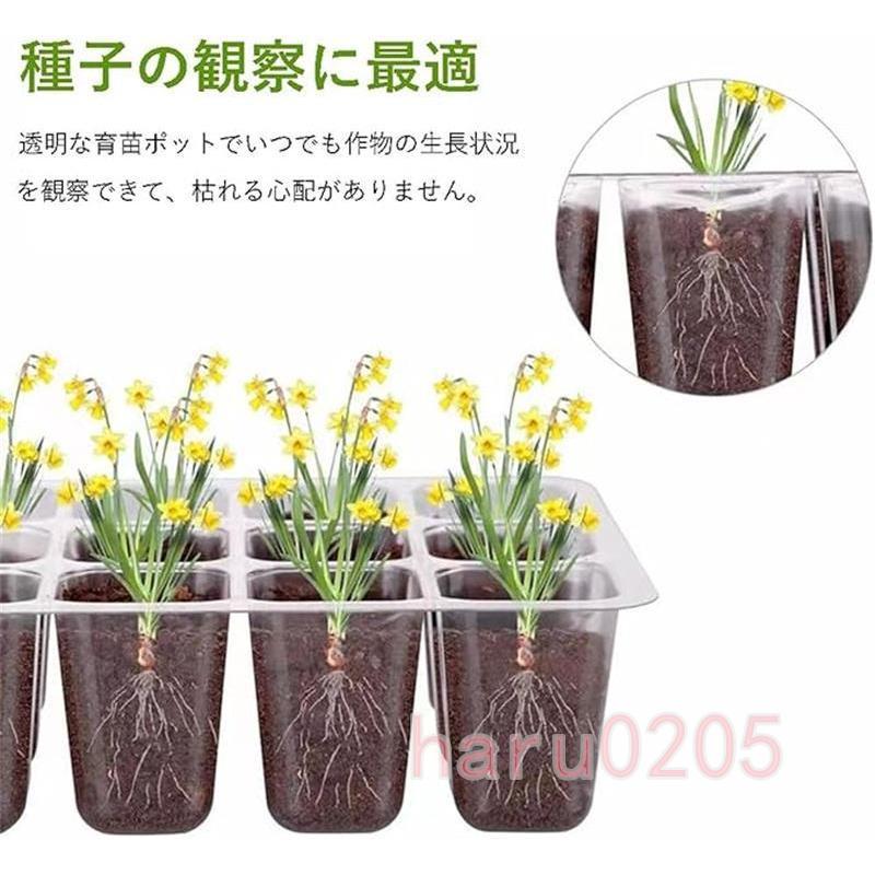 育苗ポット 3個セット 育苗トレイ 育苗箱 12穴 高くする透明カバー 種子トレイ 発芽 育苗セット 種まきハウス 種まき器 苗箱 育苗ボックス 便利性 耐久性｜haru0205｜05