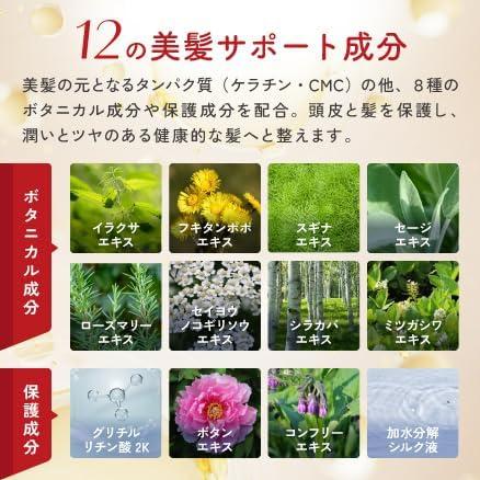 リリ　ドクターヘアミカ 10本、10本、5本 ドクターヘアミカ ヘアカラーフォーム〈ダークブラウン〉80g