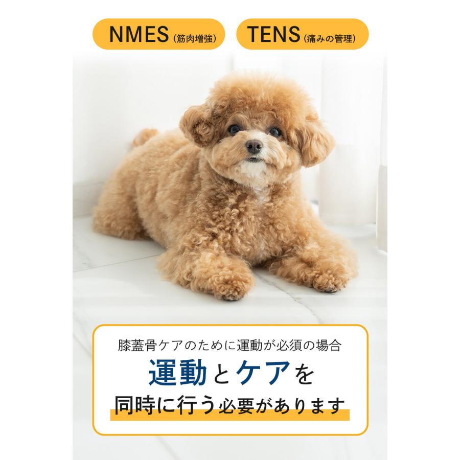 犬用 EMSトレーニングスーツ】犬 膝蓋骨脱臼 ケア EMS トレーニング