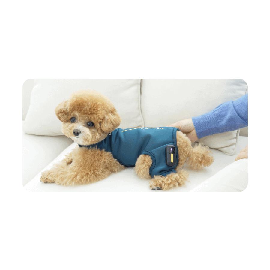 犬用 EMSトレーニングスーツ】犬 膝蓋骨脱臼 ケア EMS トレーニング