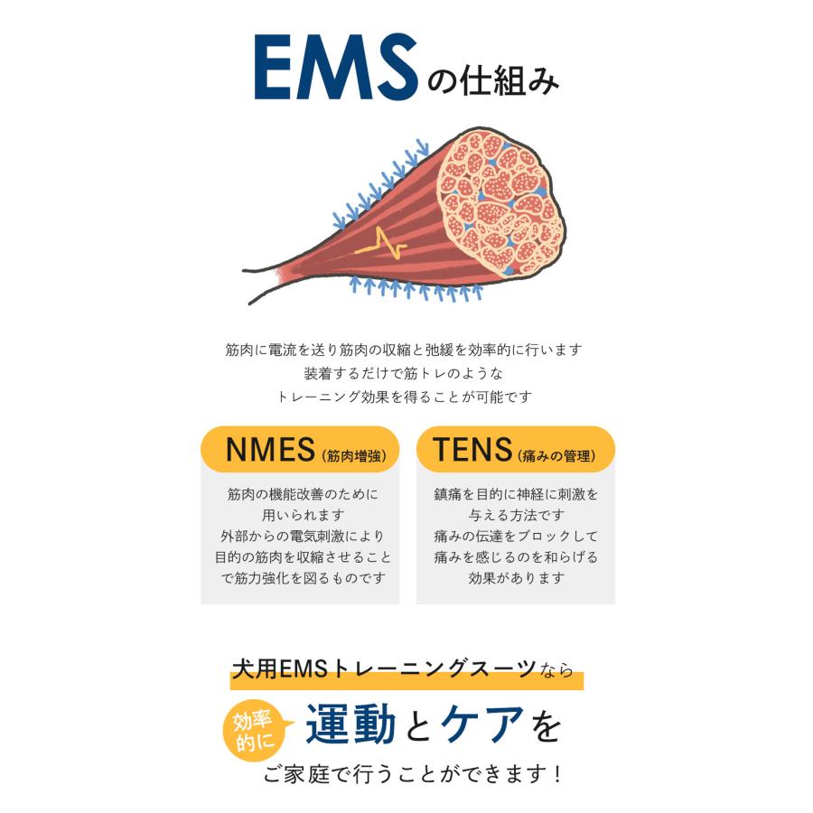 犬用 EMSトレーニングスーツ】犬 膝蓋骨脱臼 ケア EMS トレーニング