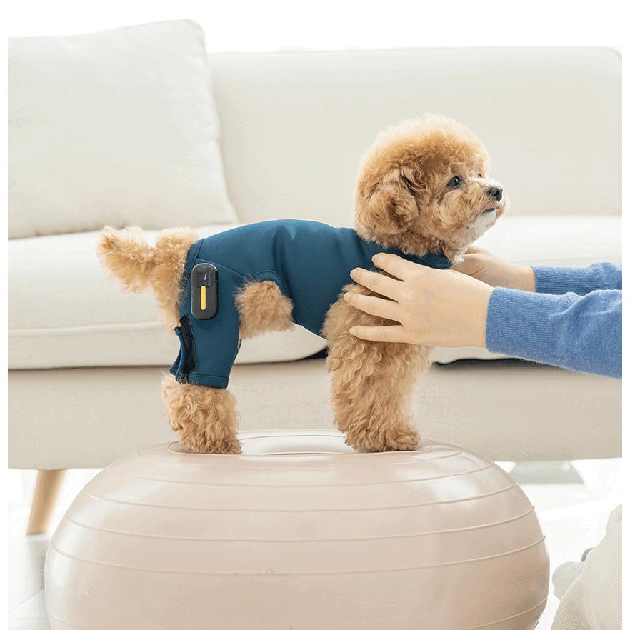 犬用 EMSトレーニングスーツ】犬 膝蓋骨脱臼 ケア EMS トレーニング