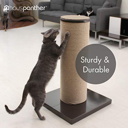 【中古品 】 Primetime Petz Hauspanther Maxscratch-特大ジュート猫スクラッチャー&パーチ%circularia%エスプレッソ 【WSO1113493611】(39340円)