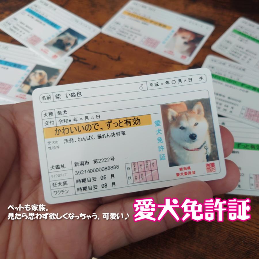 愛犬免許証カード 身分証情報を可愛らしく持ち歩ける セミオーダー
