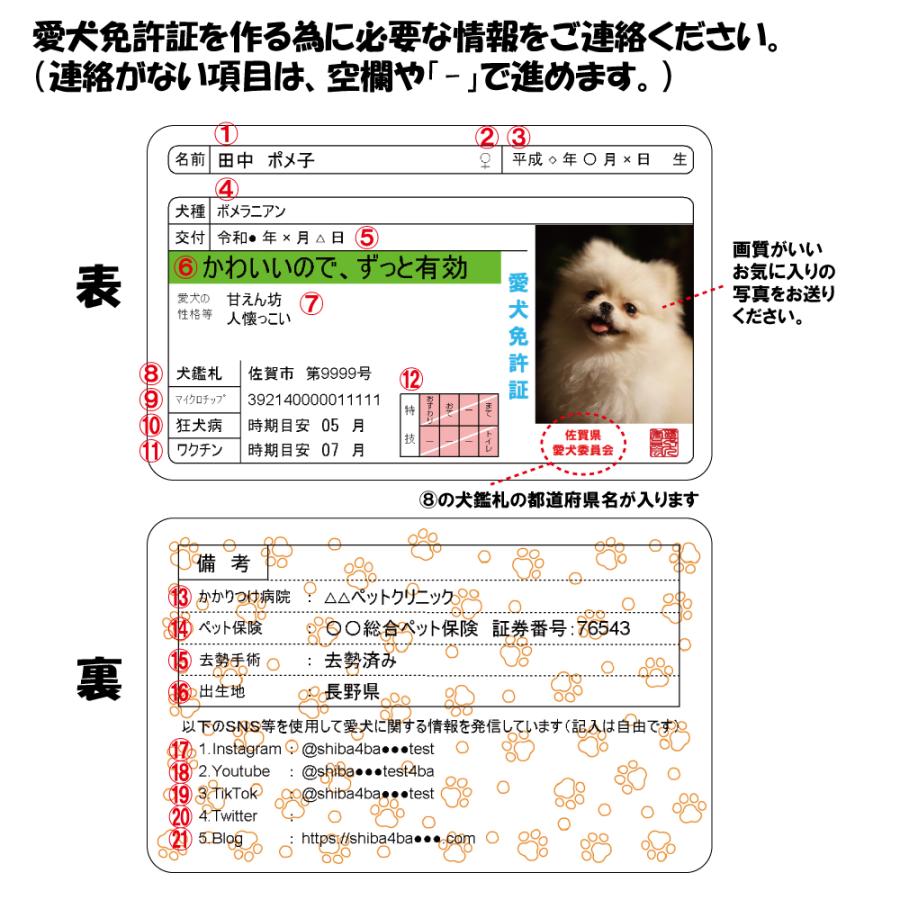 愛犬免許証カード 身分証情報を可愛らしく持ち歩ける セミオーダー