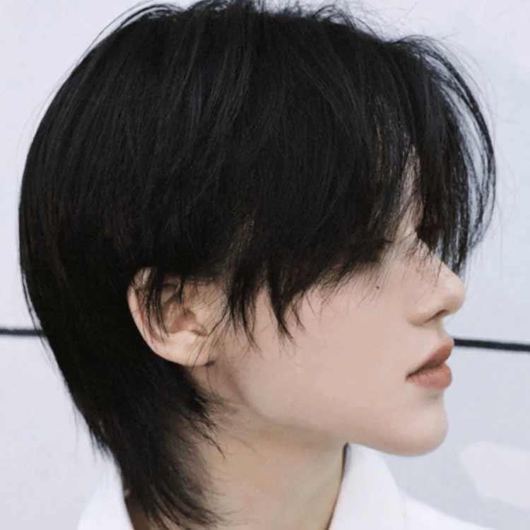 フルウィッグ ウイッグ 人毛100% メンズ 男性 かつら 自然 フルウィッグ ウイッグ 人毛100% メンズ 男性 かつら 自然