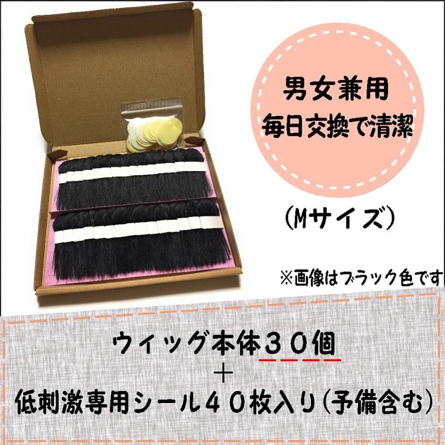 男性 円形脱毛症 隠し方 部分 ウィッグ エクステ つけ毛 Mサイズ 男性 円形脱毛症 隠し方 部分 ウィッグ エクステ つけ毛 Mサイズ
