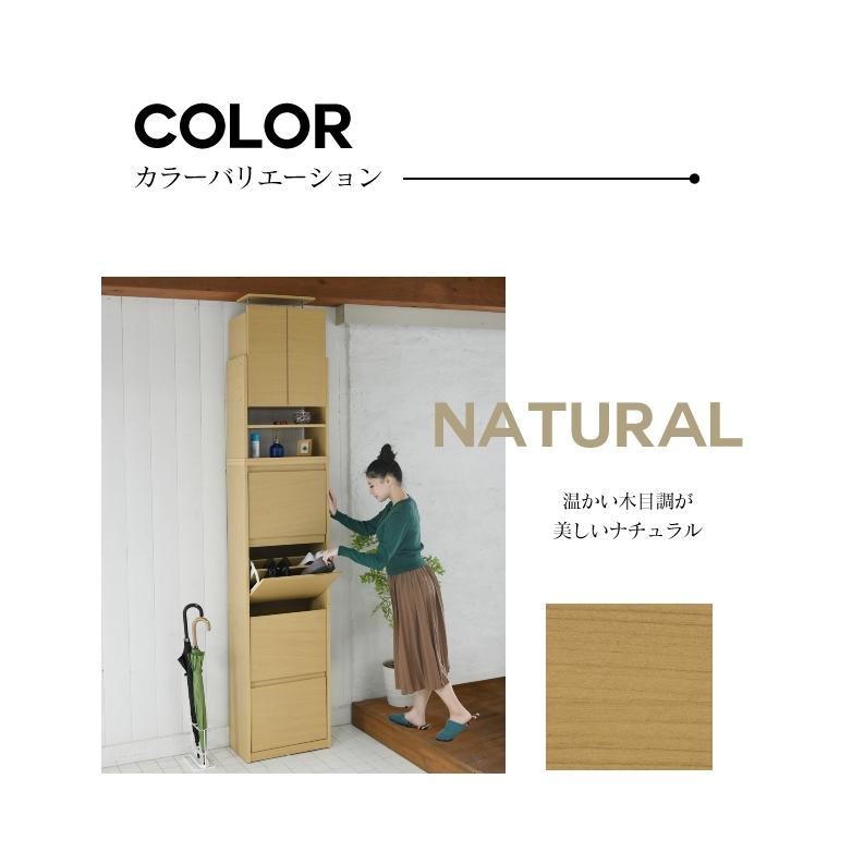 ◇薄型 靴箱 上置き付き フラップ扉 スリム 下駄箱 玄関収納 縦長