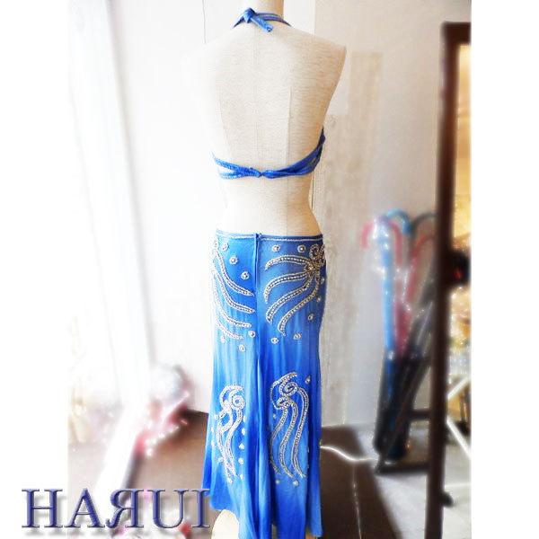 タイムセール！妖精 エレガントスカイブルー ベリーダンス衣装 8ca3d14b76b33c43bb687194b40cfe