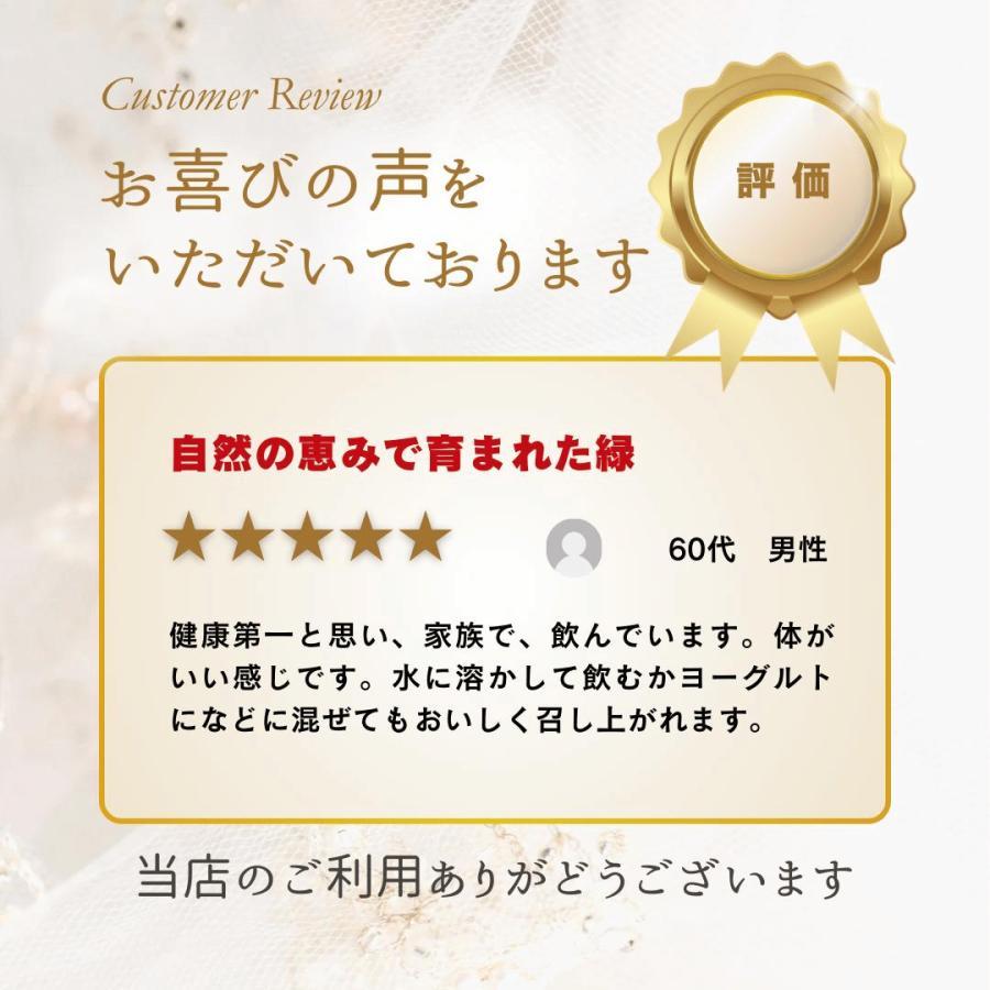 ベジパワープラス 30包 / 青汁 乳酸菌 粉末 スーパーフード 無添加 アビオス 酵素 美容 ダイエット 健康 ミネラル スムージー 個包装 8箱セット_1
