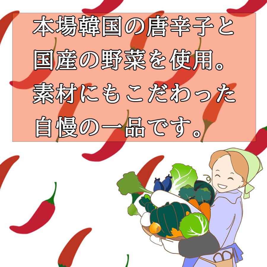 ビッグ割引 チョンガクキムチ 0g 韓国家庭料理 春川 本場韓国の味 クール便発送 Wantannas Go Id