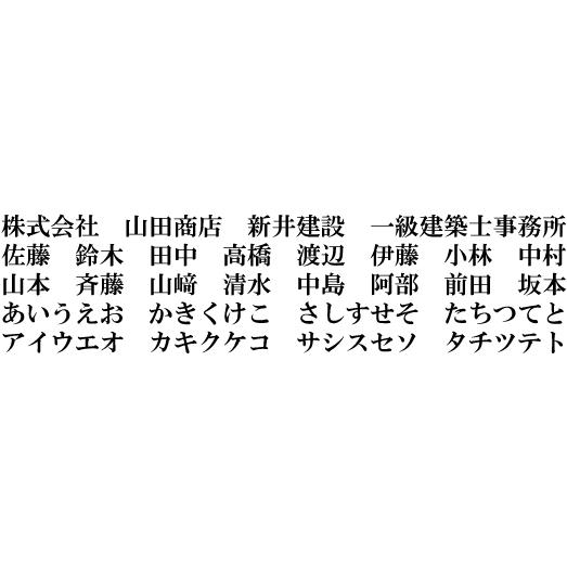 ステンレス文字 明朝体 漢字 高さ50 70ミリ 金属文字 切り文字 切文字 ステンレス アクリルの貼り合わせ文字 Ha 03 A 春川工芸 通販 Yahoo ショッピング