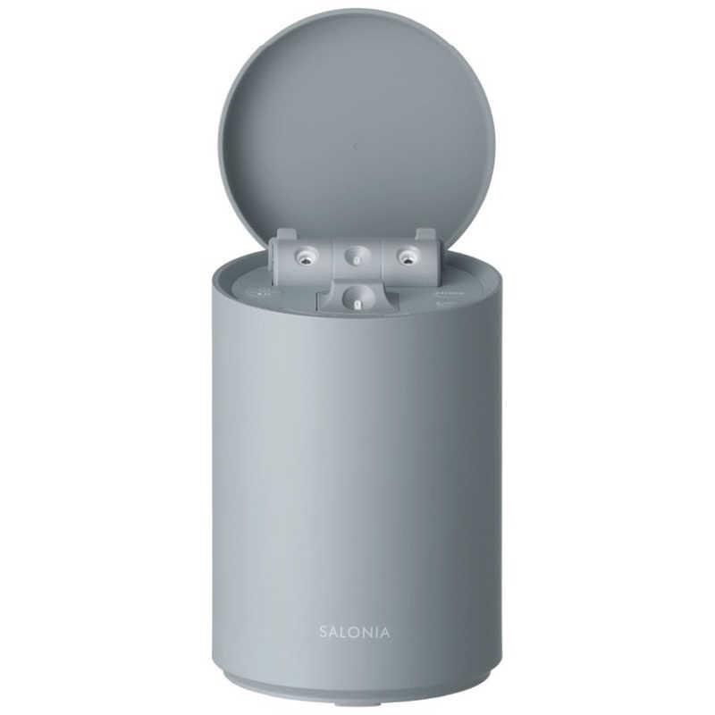 SALONIA サロニア ピュアブライト スチーマー SAL22207SL : はるかぜ