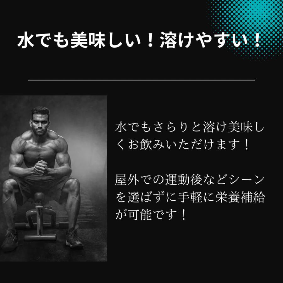 ケンタイ プロテイン ホエイ カゼイン ミルクチョコ ３ｋg ウェイトゲインアドバンス ホエイプロテイン kentai｜haruki-store0212｜05