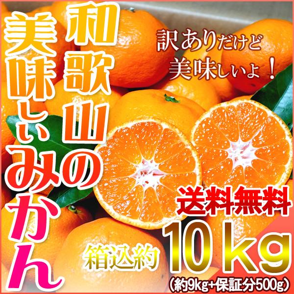 みかん 10kg（箱込約10kg） 和歌山県産 訳あり・ご家庭用 送料無料（東北・北海道・沖縄県除く）｜harumaya