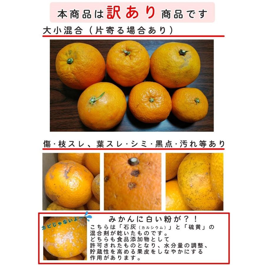 みかん 10kg（箱込約10kg） 和歌山県産 訳あり・ご家庭用 送料無料（東北・北海道・沖縄県除く）｜harumaya｜07